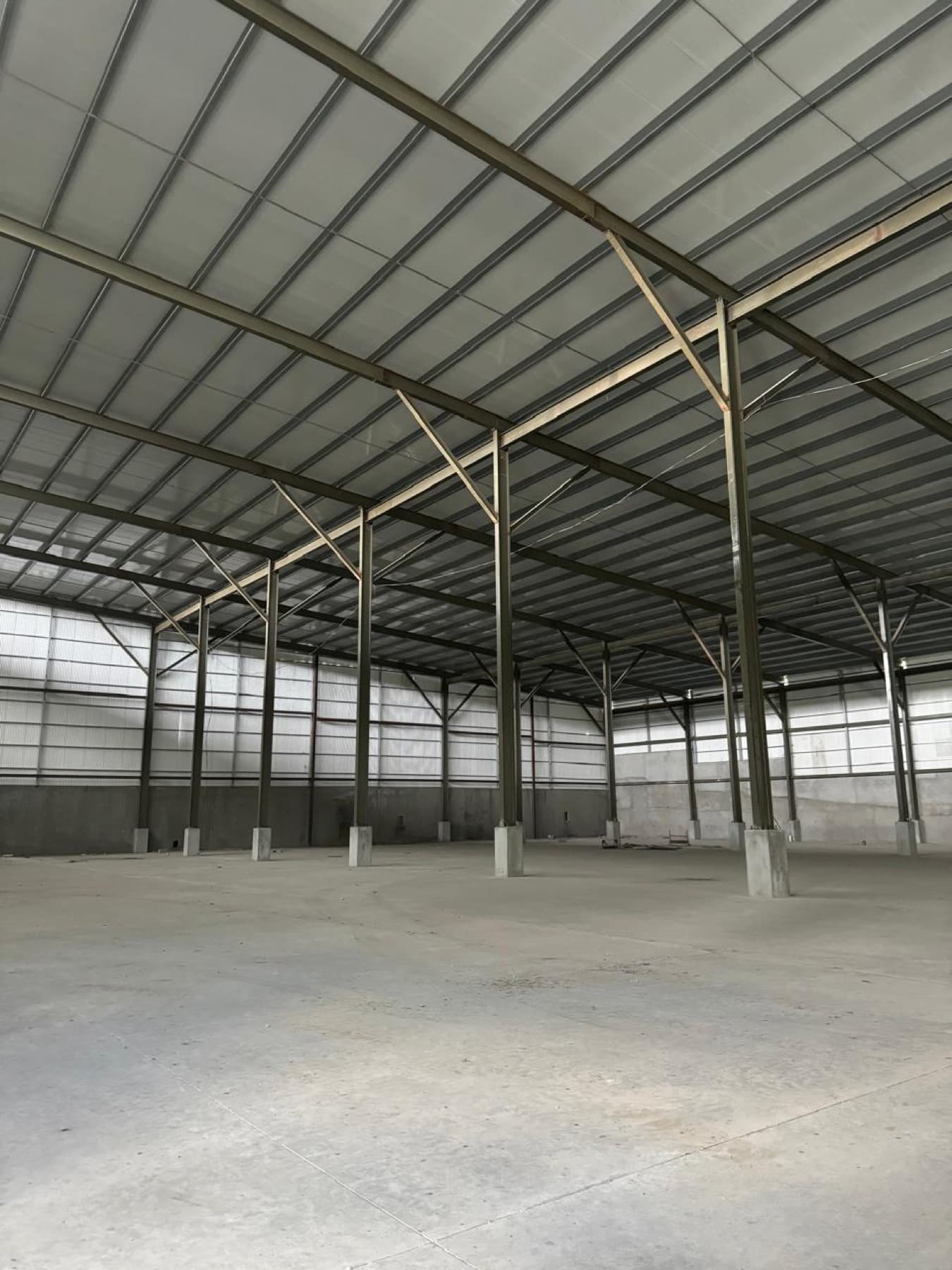 Galera / Bodega Nueva 1,240 m² — Las Mañanitas